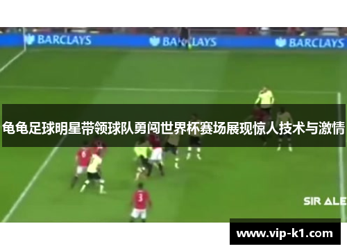 龟龟足球明星带领球队勇闯世界杯赛场展现惊人技术与激情
