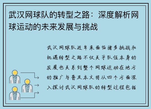 武汉网球队的转型之路：深度解析网球运动的未来发展与挑战