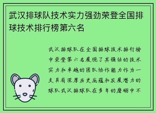 武汉排球队技术实力强劲荣登全国排球技术排行榜第六名