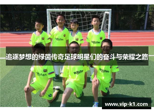 追逐梦想的绿茵传奇足球明星们的奋斗与荣耀之路